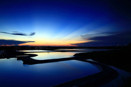 AndroidԭʼͼShoot Raw ImagesĹܣûֻƬתΪJPEGļ֮ǰܹƬԭʼ