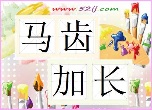 马齿加长