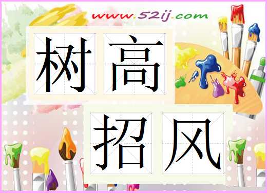 树高招风