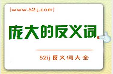庞大的反义词