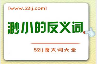 渺小的反义词