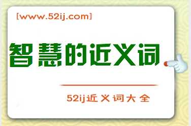 智慧的近义词