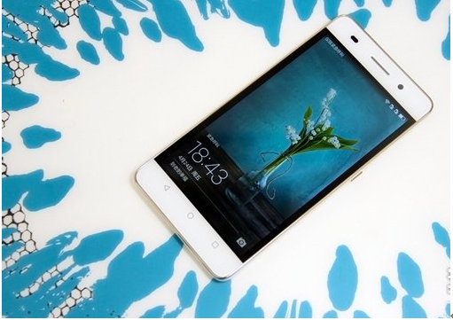 图为荣耀畅玩4C