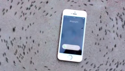 当iPhone手机铃声响起来,周围杂乱无章跑来跑去的蚂蚁立即整整齐齐的绕跑iPhone。(视频截图) 当iPhone手机铃声响起来,周围杂乱无章跑来跑去的蚂蚁立即整整齐齐的绕跑iPhone。(视频截图)