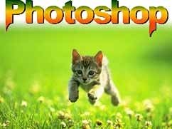 两寸照片尺寸究竟该怎么操作?