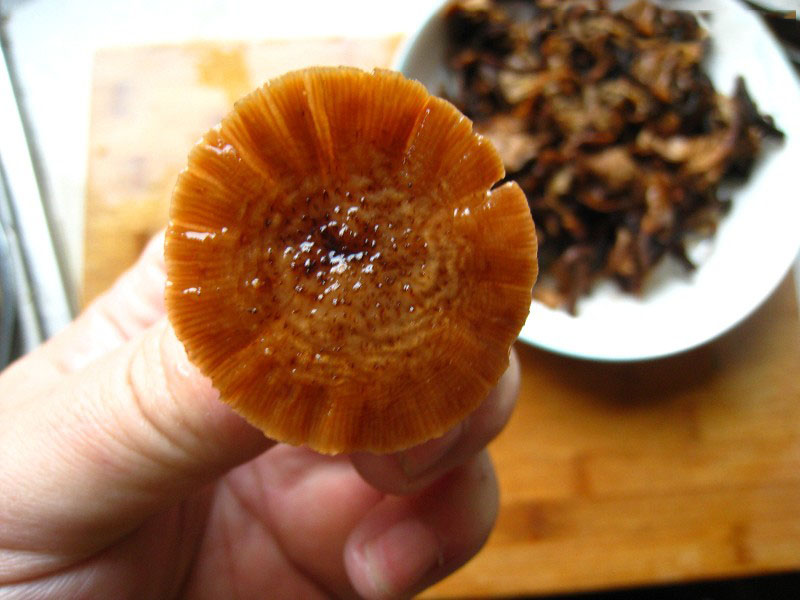 要开始做蘑菇了,注意点喔!