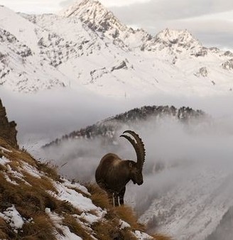 Python中的内建模块