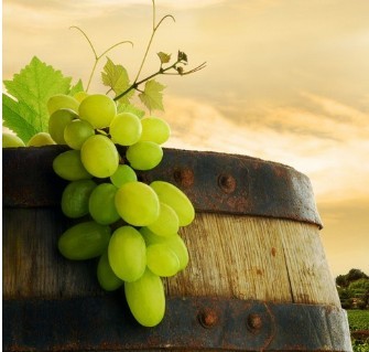 python ƽ̨̡̳ide̡߳for s60 2.0