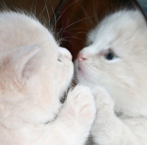 ����Ӱ�����Ӱ����Դ����ֵ�ùۿ�