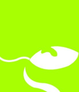 ѡ������õ��������Ӱ������������Ӧ������ѡ������