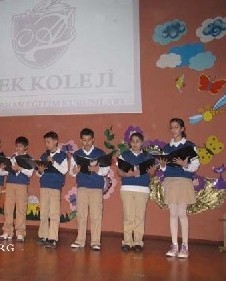 ����Ӱ��6�ۿ������¡�����