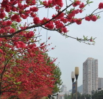 Ұʮ5ishiyan 人ITСʮ