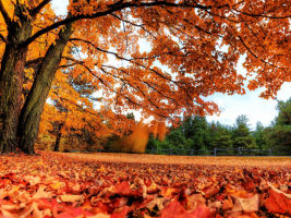 想念一个人的滋味 就会想念一个人的所有