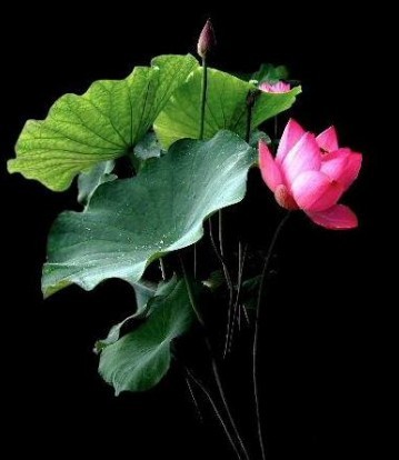 暴风影音你2013官方免费下载 看风景思绪万千