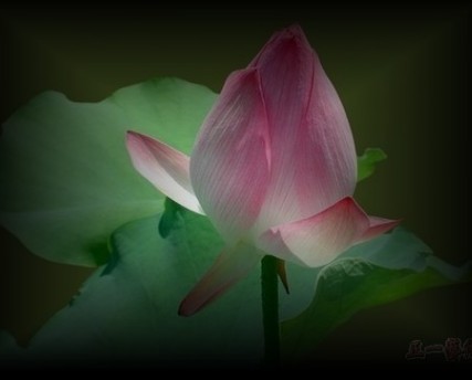 暴风影音你2013官方免费下载 看风景思绪万千