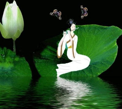 ����Ӱ�����°濴����Ƭ��ĸ���