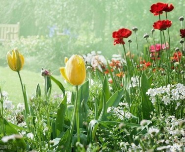 ����Ӱ���ֻ�����ĸ��˸������Ĳ������