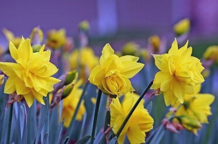 ����Ӱ��6�ۿ���ӰƬ һ�����Ļ�������һ��������