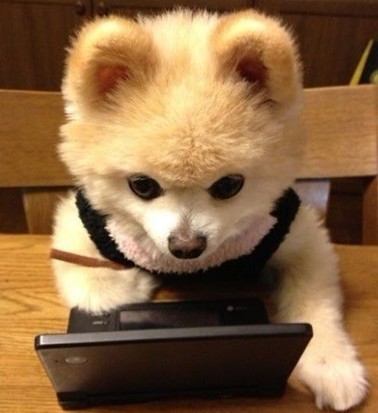 多玩英雄联盟盒子及lol游戏坑友