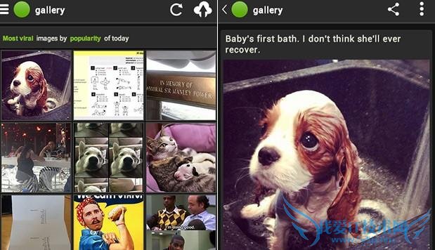 拒绝巨头收购的图片应用Imgur获4千万美元融资