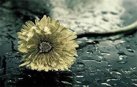 QQ空间素材图片