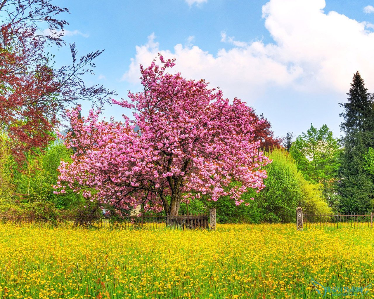 超长QQ分组设计