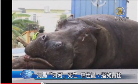 ǰ̨ýعġ·ĺӡƵͼ