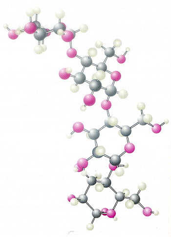 ʹõ۵ÿ̼Ԓγɡ״ṹ