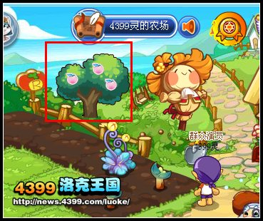 洛克王国神奇可可树