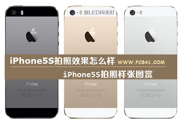 iPhone5SЧô iPhone5Sͼ