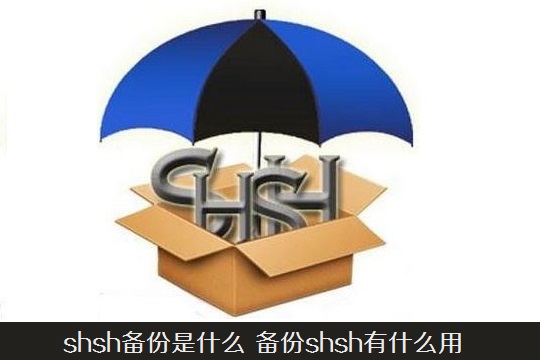 shsh备份是什么 备份shsh有什么用?