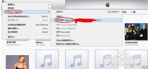 显示我的Apple ID