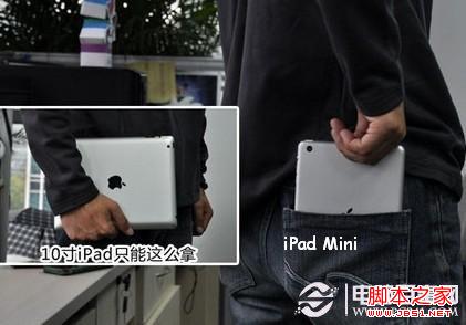iPad MiniЯԸɫ