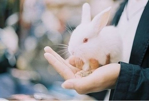 ˳ĴͼƬȫ_һֱ޷_feizl.com