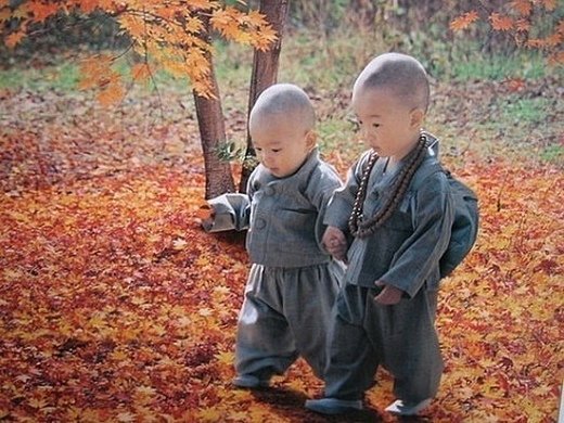 СͼƬ ɰСͼƬȫ_feizl.com