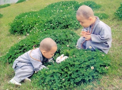 СͼƬ ɰСͼƬȫ_feizl.com