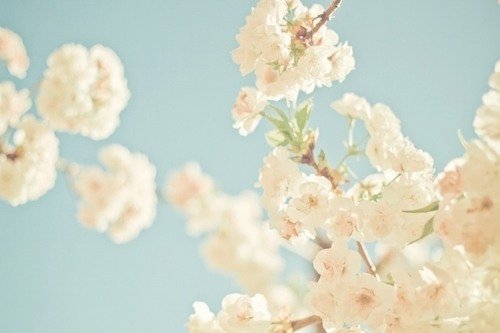 ǳɫϵ⾳ͼƬȫ_ǰѰ ٿһ3