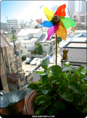 ƬǩͼƬ-www.feizl.com