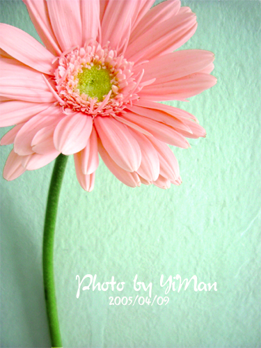 ƬǩͼƬ-www.feizl.com