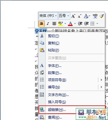 word2003ⲿô