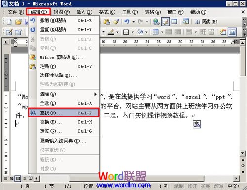 在Word2003中使用通配符进行模糊替换