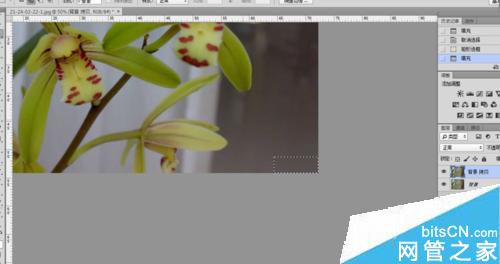 psôȥˮӡ?psȥˮӡַ