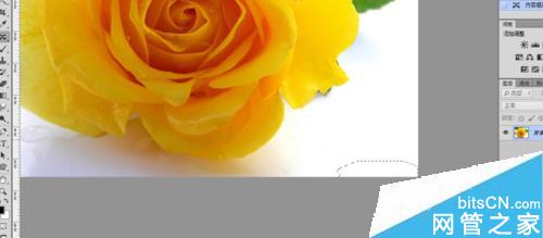 psôȥˮӡ?psȥˮӡַ