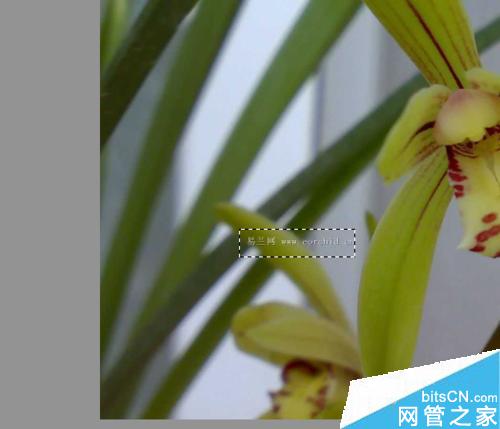 psôȥˮӡ?psȥˮӡַ