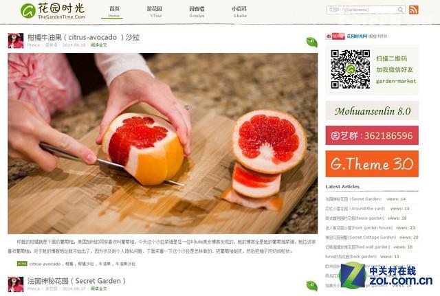 WordPress 个人网站 Wordpress网站