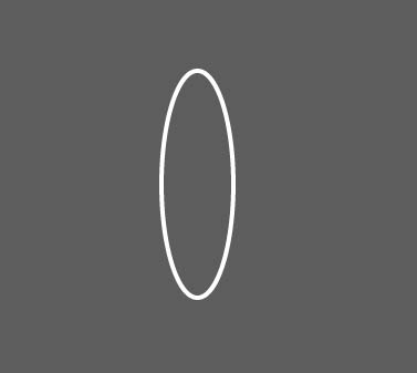 AI快速旋转复制的技巧 网管之家 AI实例教程