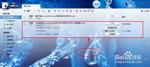 如何使用迅雷下载电影、电视剧