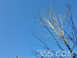 联想s8和小米平板哪个好