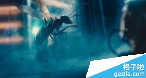 20157ӳӰ 20157µӰԤ(ͼ)