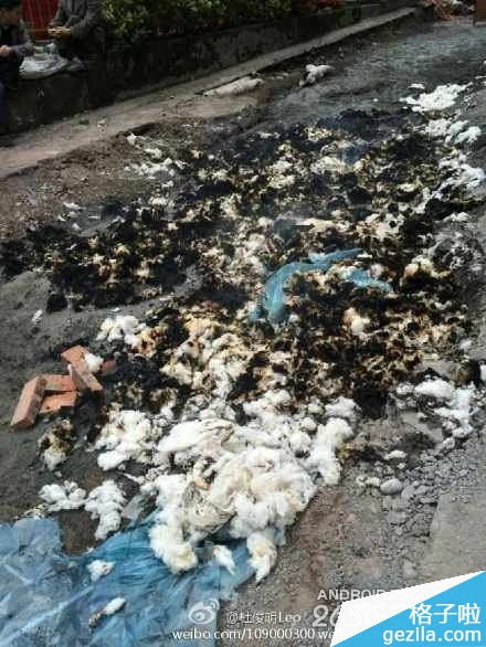 小伙玩小米手机突然爆炸 小米已回应